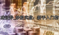 炒股实盘：新手入门指南